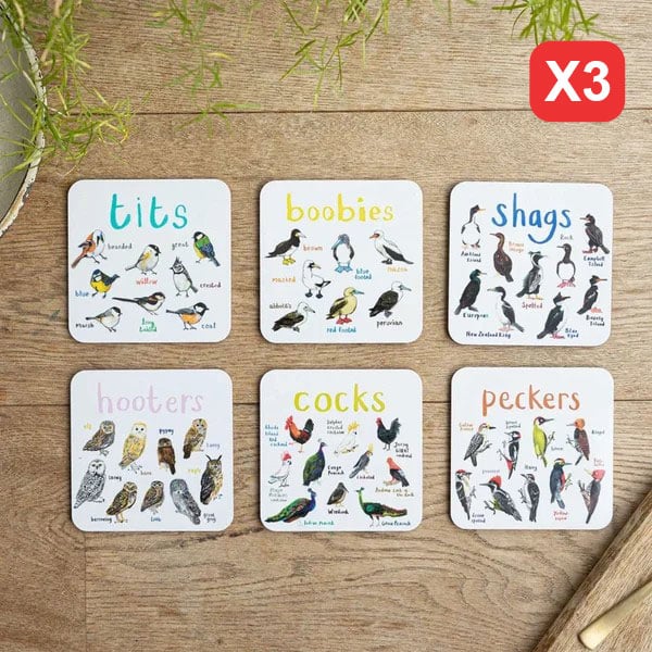Last Day 47% OFF🐦Set of 6 Bird Pun Coasters