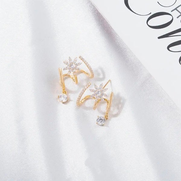 🌟Eight Awn Star Earrings