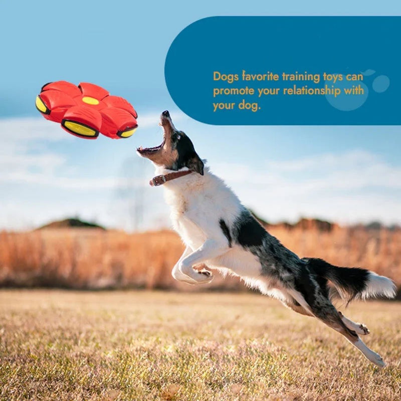 2024 Hot Sale⚽Pet Toy Flying Saucer Ball(49% OFF & BUY 2 FREE SHIPPING🔥)