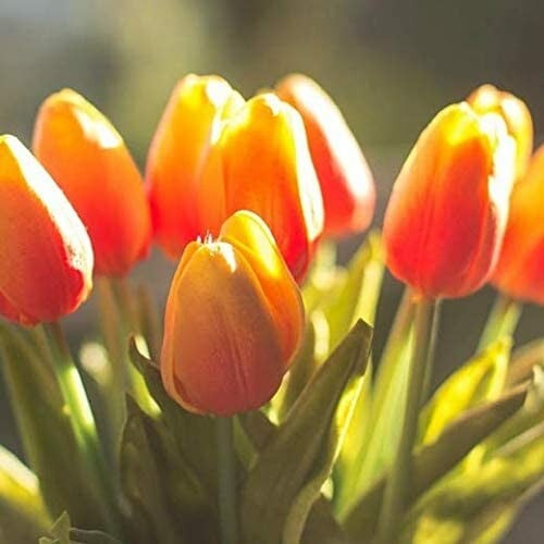 ✨LAST Day Sale-70off💓-High Quality Artificial Latex Tulips