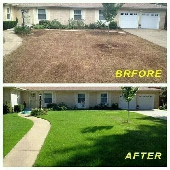 🔥Biodegradable Grass Seed Mat