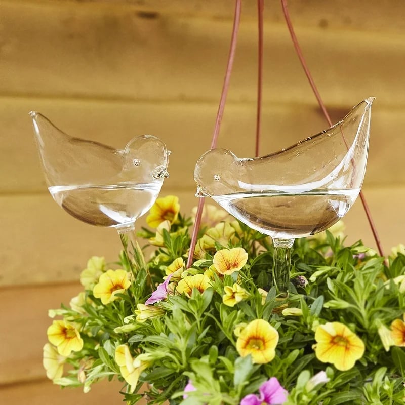 (🔥SAVE 47% OFF) Self-Watering Plant Glass Bulbs