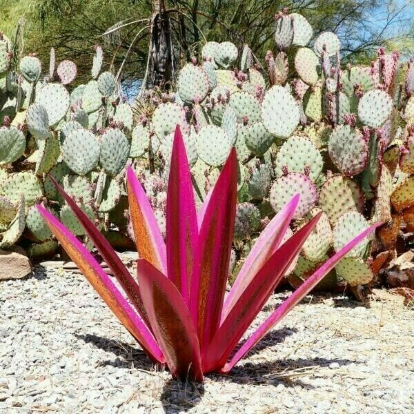 LAST DAY PROMOTION 49% OFF - 🌵Anti-rust Metal Led Tequila  Agave Plant-Perfect for garden