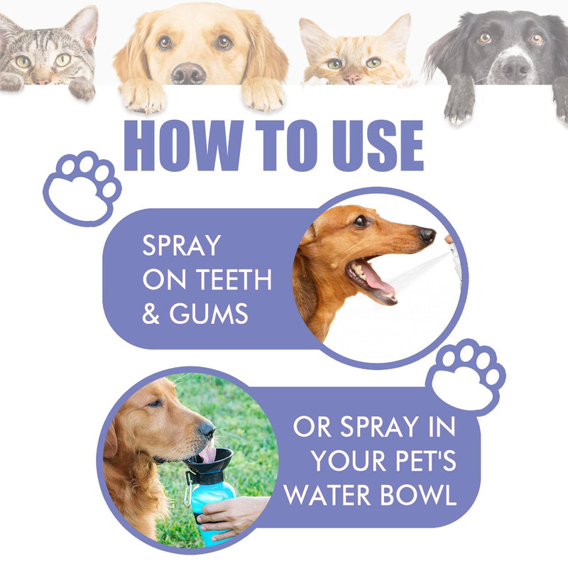 Teeth Cleaning Spray for Pet, Eliminate Bad Breath, Targets Tartar & Plaque