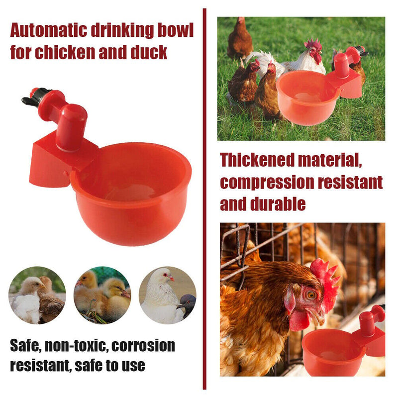 (💦EARLY SUMMER HOT SALE- 49% OFF💦)  🎉Automatic Poultry Water Bowl (5Pcs\/set) 💥 BUY 2 GET 1 FREE