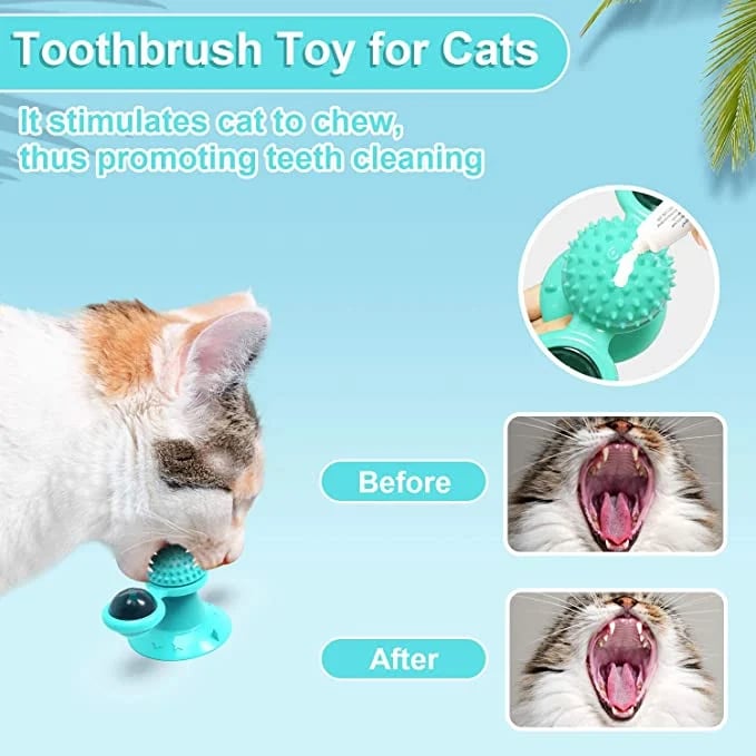 (🔥Promotion 48% OFF) Interactive Windmill Cat Toys with Catnip